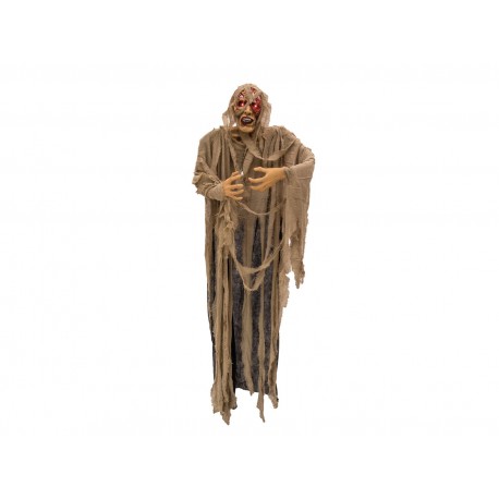 EUROPALMS Halloween Pirat 170cm